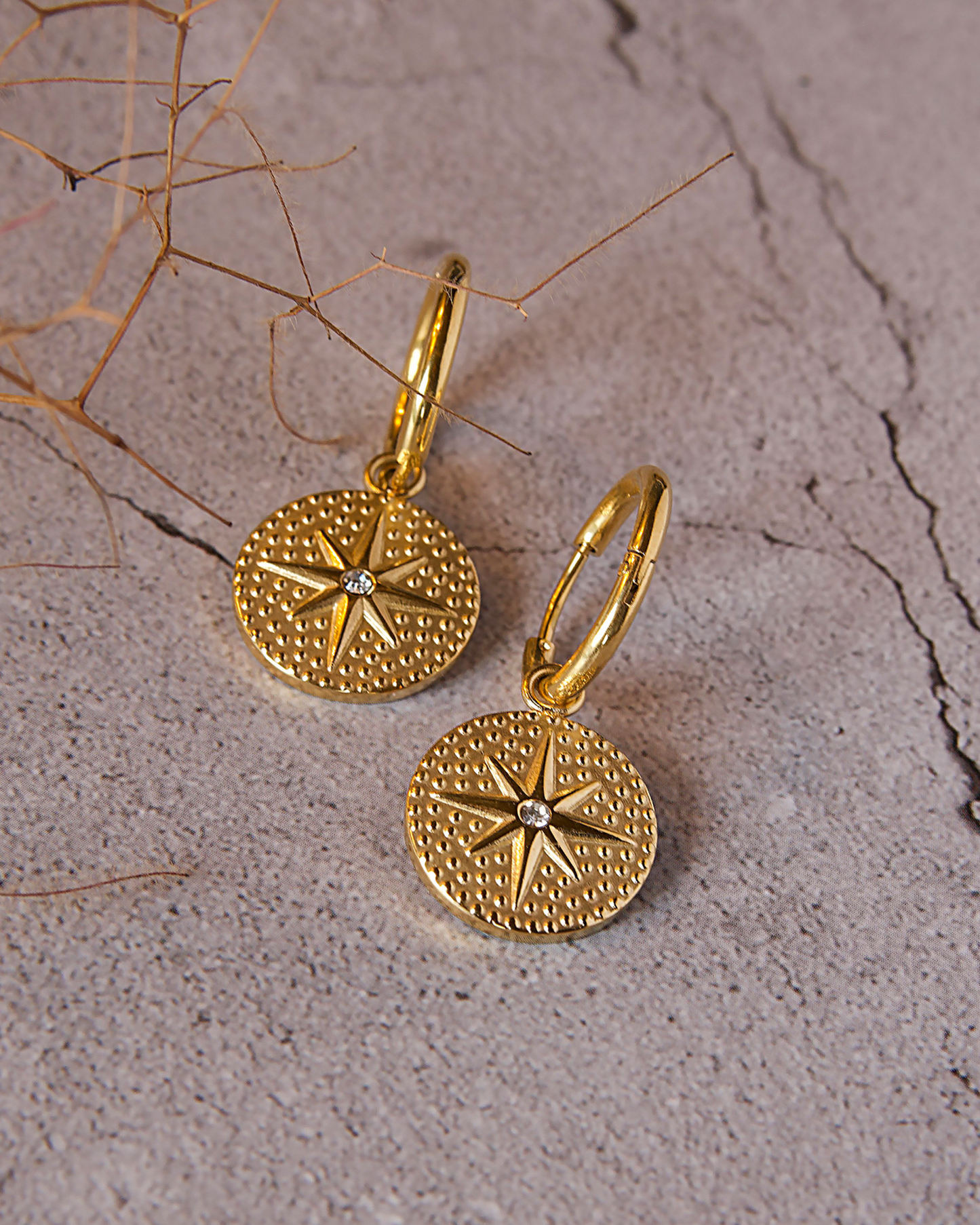 Gold-plated hoop earrings with compass medallion